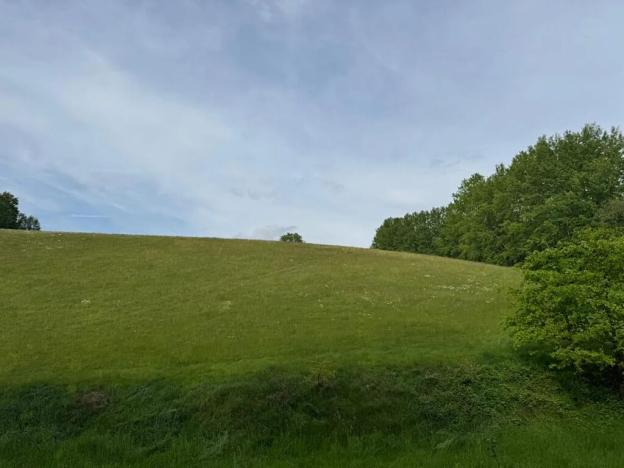 Prodej pozemku, Český Dub, 25179 m2