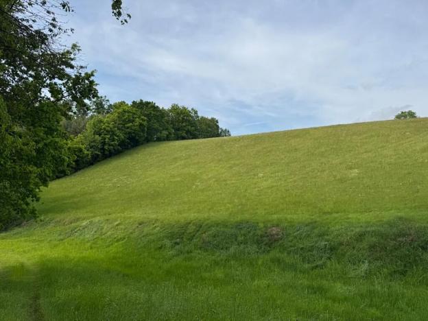 Prodej pozemku, Český Dub, 25179 m2