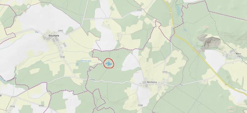 Prodej podílu lesa, Nové Mitrovice, 1057 m2