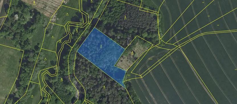 Prodej lesa, Vranov, 4583 m2