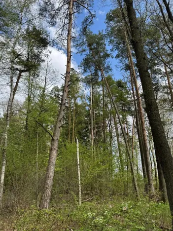 Prodej podílu pozemku, Stříbřec, 5449 m2