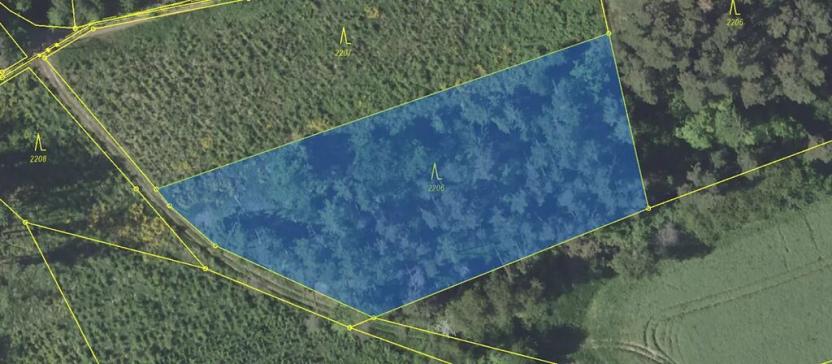 Prodej lesa, Louňovice pod Blaníkem, 4560 m2