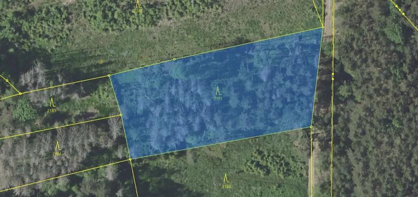 Prodej lesa, Louňovice pod Blaníkem, 4236 m2