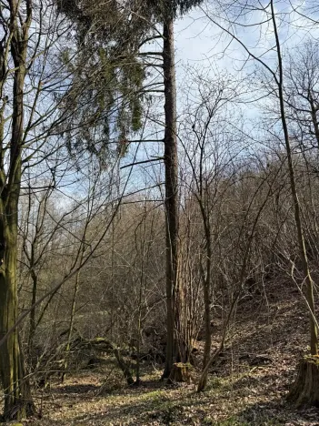 Prodej pozemku, Louňovice pod Blaníkem, 23891 m2