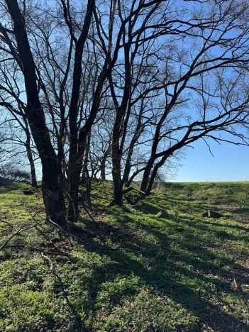 Prodej pozemku, Jevišovice, 7710 m2
