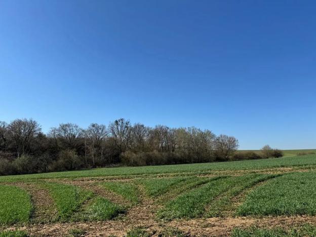 Prodej pozemku, Jevišovice, 7710 m2