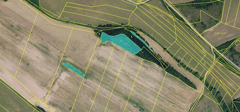 Prodej pozemku, Jevišovice, 7710 m2