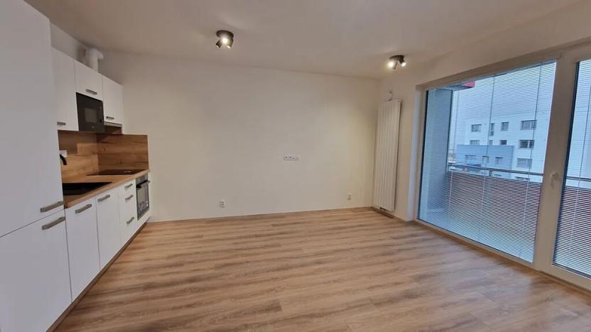 Pronájem bytu 1+kk, Plzeň, Studentská, 40 m2