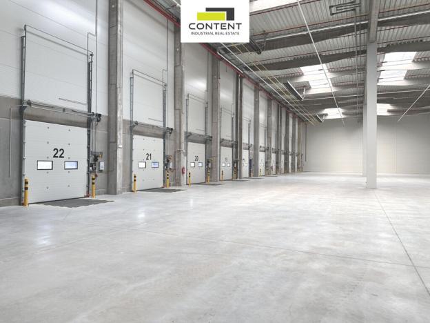 Pronájem výrobních prostor, Údlice, Droužkovická, 20000 m2