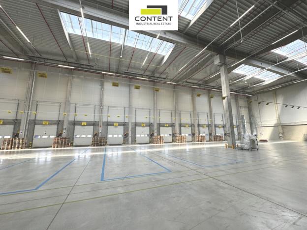 Pronájem výrobních prostor, Údlice, Droužkovická, 20000 m2
