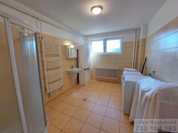 Prodej rodinného domu, Otice, Domky, 380 m2