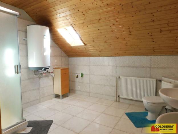 Pronájem bytu 3+kk, Dobšice, 130 m2