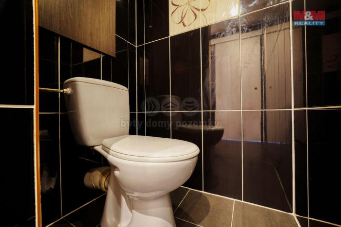 Pronájem bytu 1+1, Žihle, 39 m2