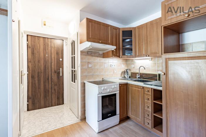 Pronájem bytu 1+kk, Zvěstov - Roudný, 25 m2