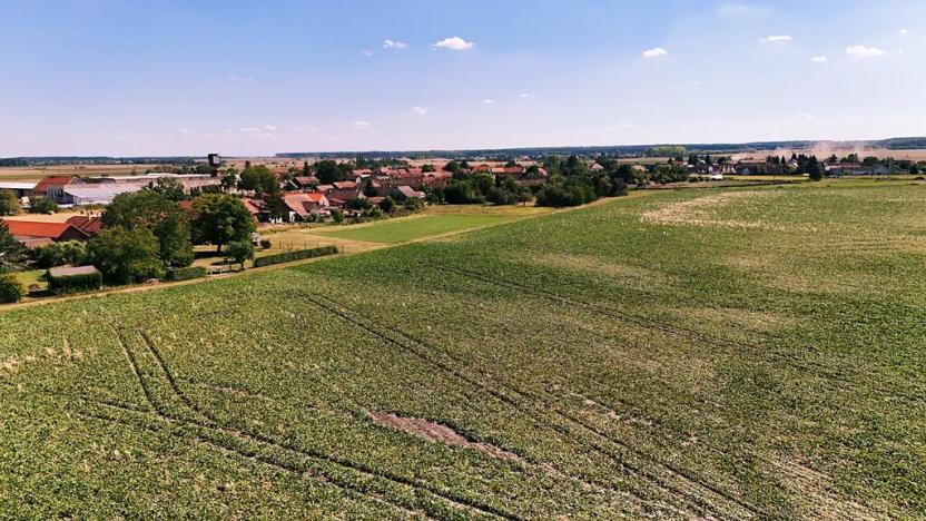 Prodej pozemku pro bydlení, Běrunice, 3467 m2