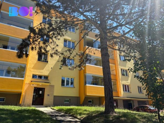 Prodej bytu 2+1, Karviná, Haškova, 48 m2