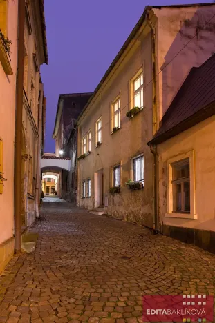 Pronájem bytu 1+1, Olomouc, Kačení, 38 m2