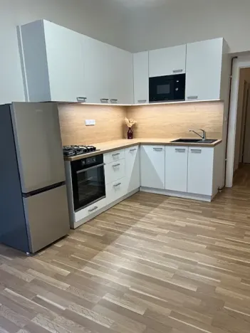 Pronájem bytu 2+kk, Praha - Žižkov, Žerotínova, 44 m2