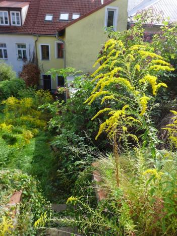 Pronájem bytu 2+kk, Česká Lípa, Moskevská, 110 m2