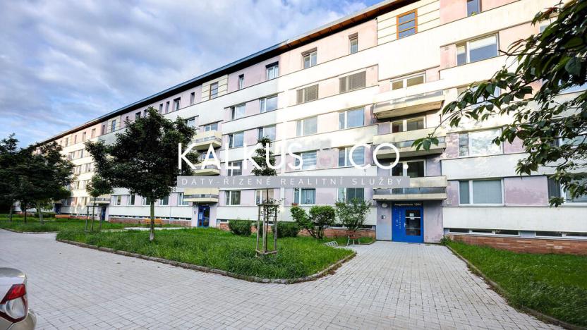 Prodej bytu 4+1, Hradec Králové - Pražské Předměstí, Jungmannova, 97 m2