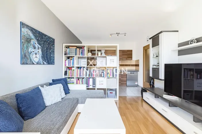 Prodej bytu 2+kk, Přezletice, Pod Zahrady, 46 m2