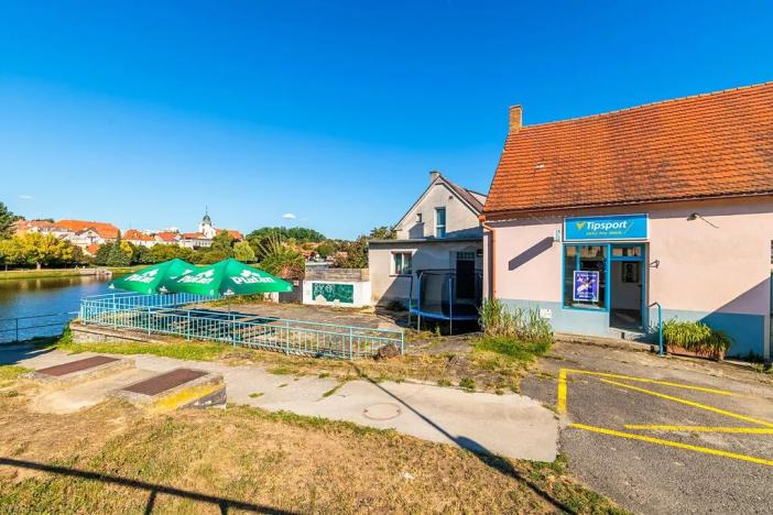 Pronájem vícegeneračního domu, Týn nad Vltavou, Nádražní, 160 m2