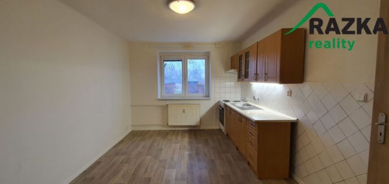 Pronájem bytu 1+1, Bor - Vysočany, 36 m2