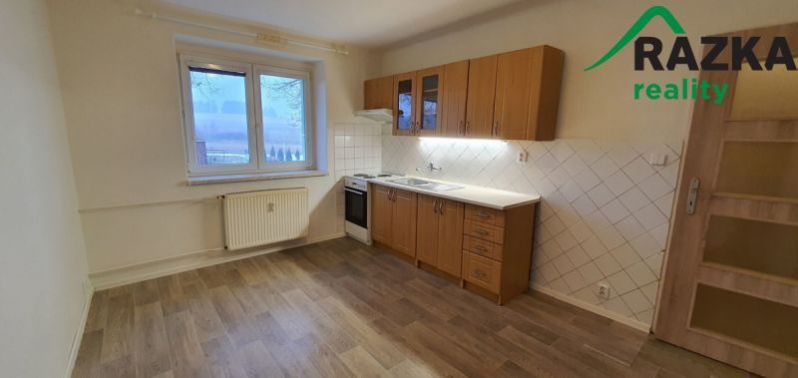 Pronájem bytu 1+1, Bor - Vysočany, 36 m2