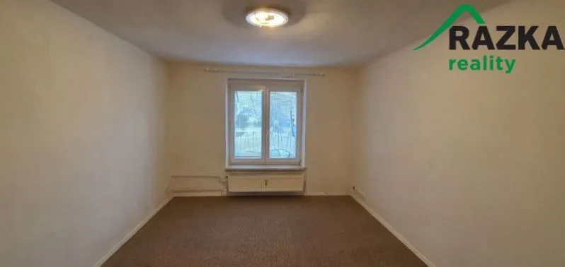 Pronájem bytu 1+1, Bor - Vysočany, 36 m2