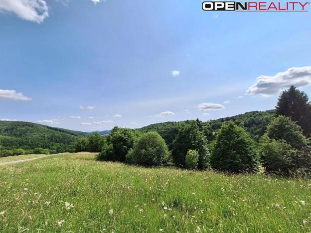 Prodej pole, Žítková, 1968 m2