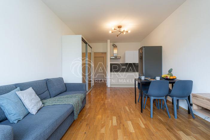 Pronájem bytu 1+kk, Praha - Žižkov, Havlíčkovo náměstí, 31 m2