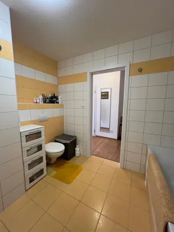 Prodej bytu 2+kk, Karlovy Vary, Spálená, 50 m2