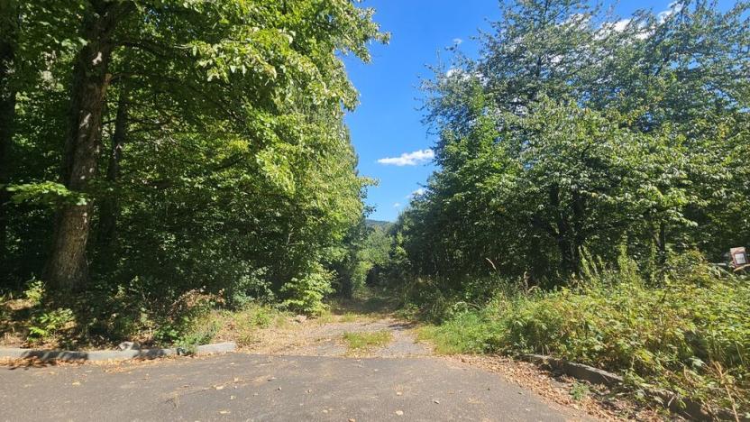 Prodej pozemku pro bydlení, Ústí nad Labem, Litoměřická, 5379 m2