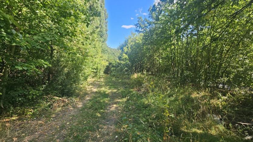 Prodej pozemku pro bydlení, Ústí nad Labem, Litoměřická, 5379 m2