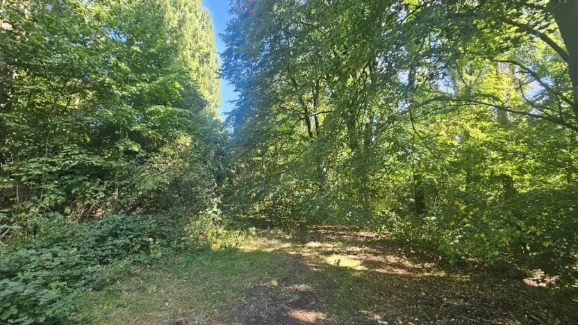 Prodej pozemku pro bydlení, Ústí nad Labem, Litoměřická, 5379 m2