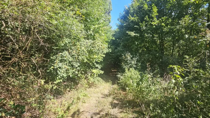 Prodej pozemku pro bydlení, Ústí nad Labem, Litoměřická, 5379 m2