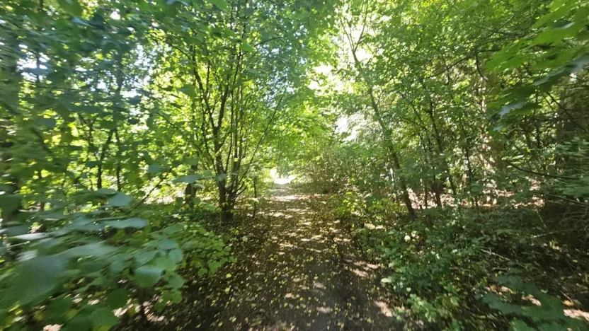 Prodej pozemku pro bydlení, Ústí nad Labem, Litoměřická, 5379 m2