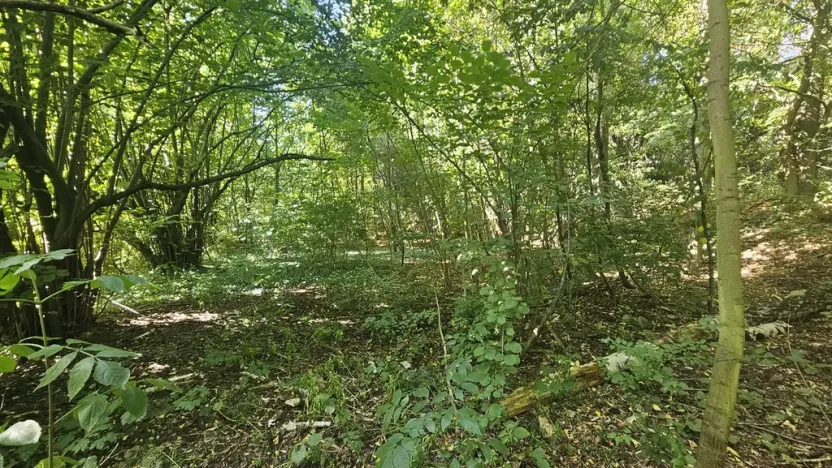 Prodej pozemku pro bydlení, Ústí nad Labem, Litoměřická, 5379 m2