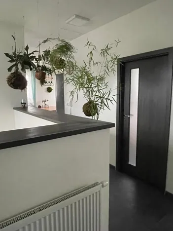 Prodej bytu 3+kk, Jihlava, Dělnická, 76 m2