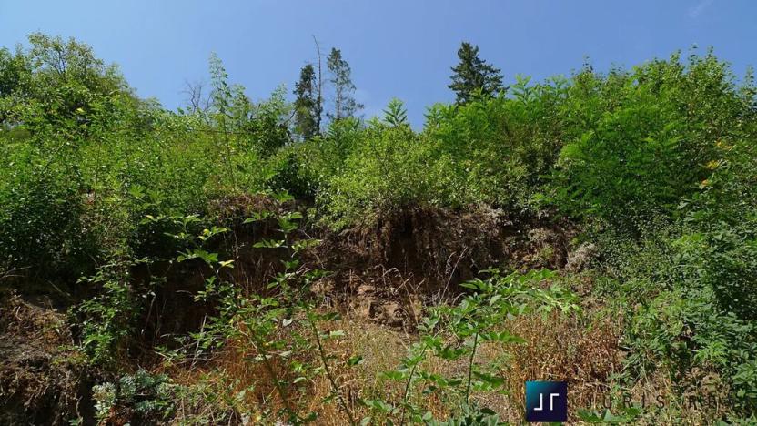 Prodej pozemku pro bydlení, Černošice, Mánesova, 773 m2