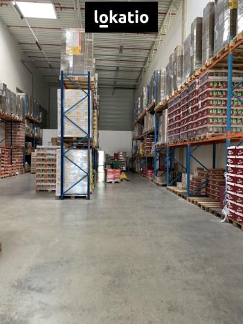 Pronájem skladu, Chrášťany, 550 m2