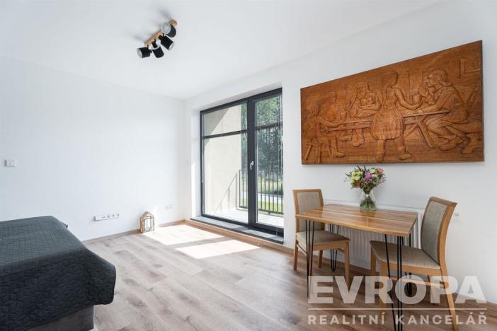 Prodej bytu 1+kk, Černý Důl, 33 m2