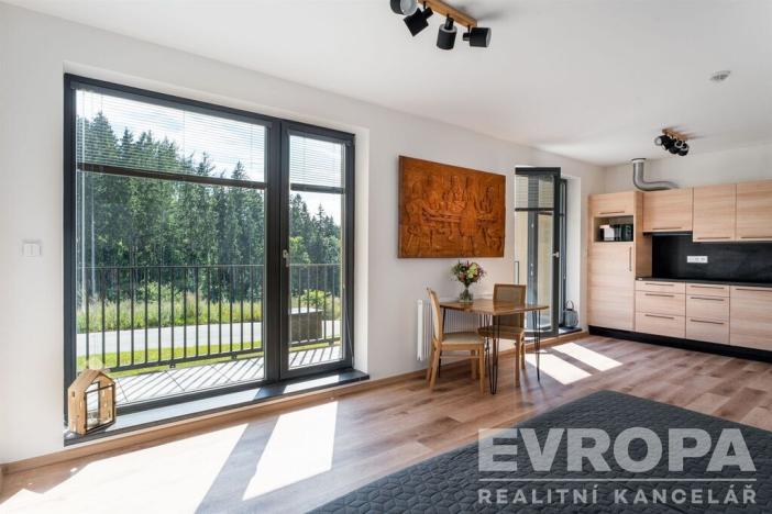 Prodej bytu 1+kk, Černý Důl, 33 m2