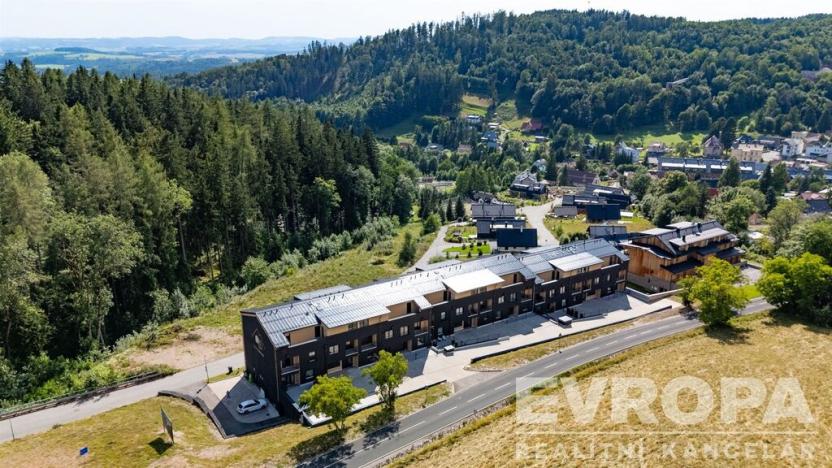 Prodej bytu 1+kk, Černý Důl, 33 m2