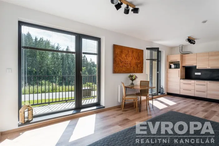 Prodej bytu 1+kk, Černý Důl, 33 m2