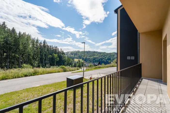 Prodej bytu 1+kk, Černý Důl, 33 m2