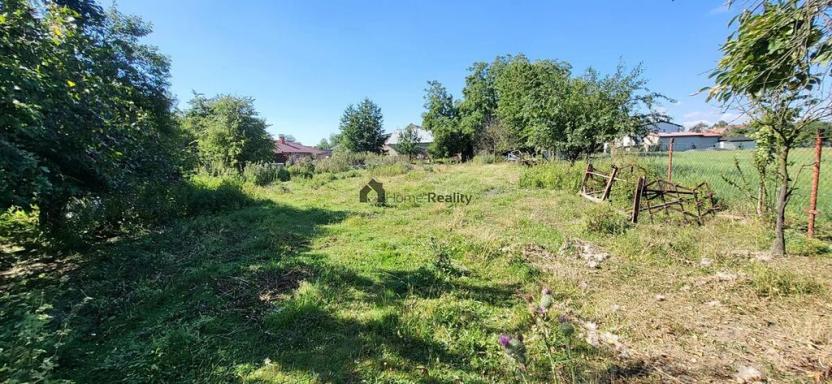 Prodej zemědělské usedlosti, Hladké Životice, Malá Strana, 250 m2