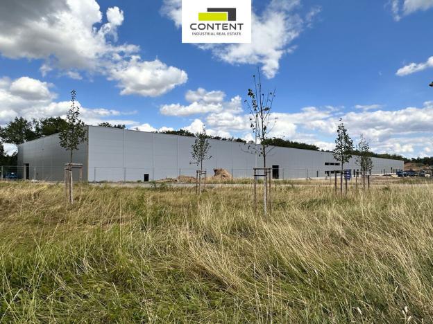 Pronájem výrobních prostor, Přimda - Mlýnec, 5000 m2