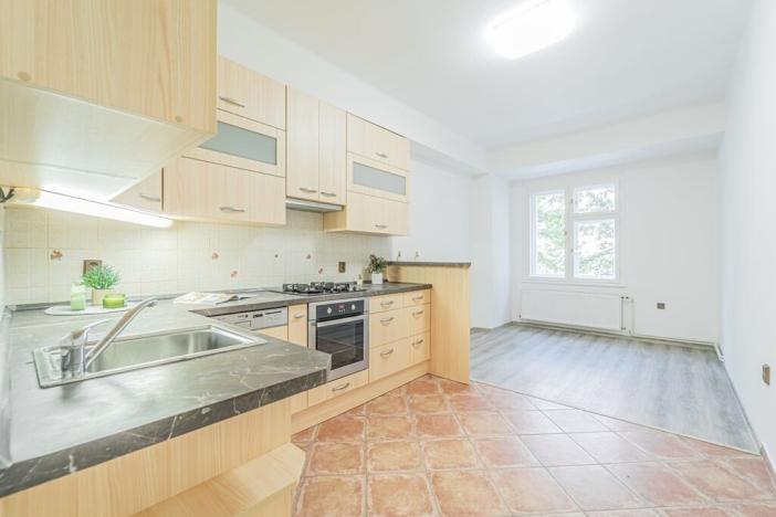 Prodej bytu 1+1, Praha - Žižkov, Lucemburská, 53 m2