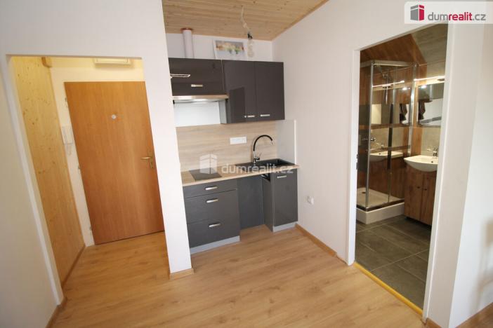 Pronájem bytu 1+kk, Mariánské Lázně, Hlavní třída, 25 m2